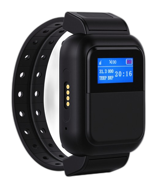 SLDW-01 Wrist Health Monitor